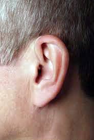 Contours d'oreille avec écouteur dans le conduit (RIC) :